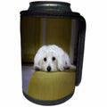 3dRose RinaPiro Dogs - Maltese. Cute puppy. - Can Cooler Bottle Wrap (cc_282827)
