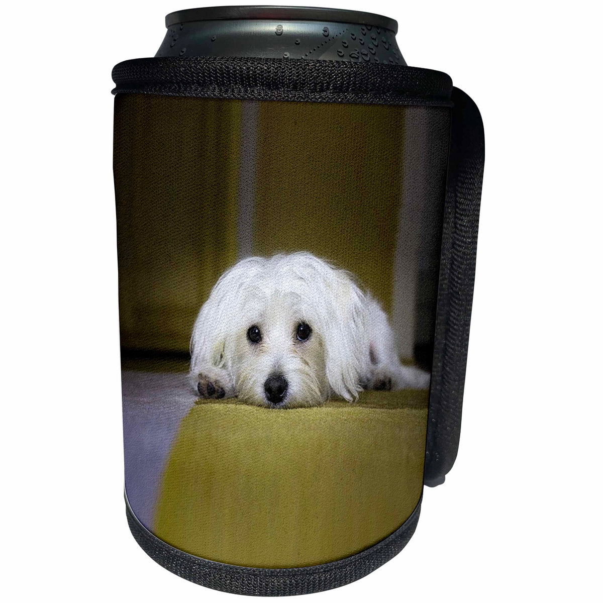 3dRose RinaPiro Dogs - Maltese. Cute puppy. - Can Cooler Bottle Wrap (cc_282827)