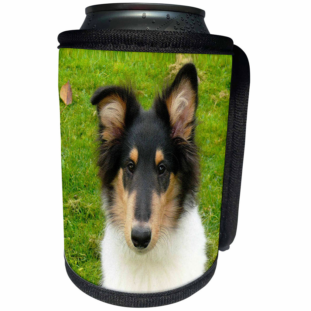 3dRose RinaPiro Dogs - Collie. - Can Cooler Bottle Wrap (cc_282831)