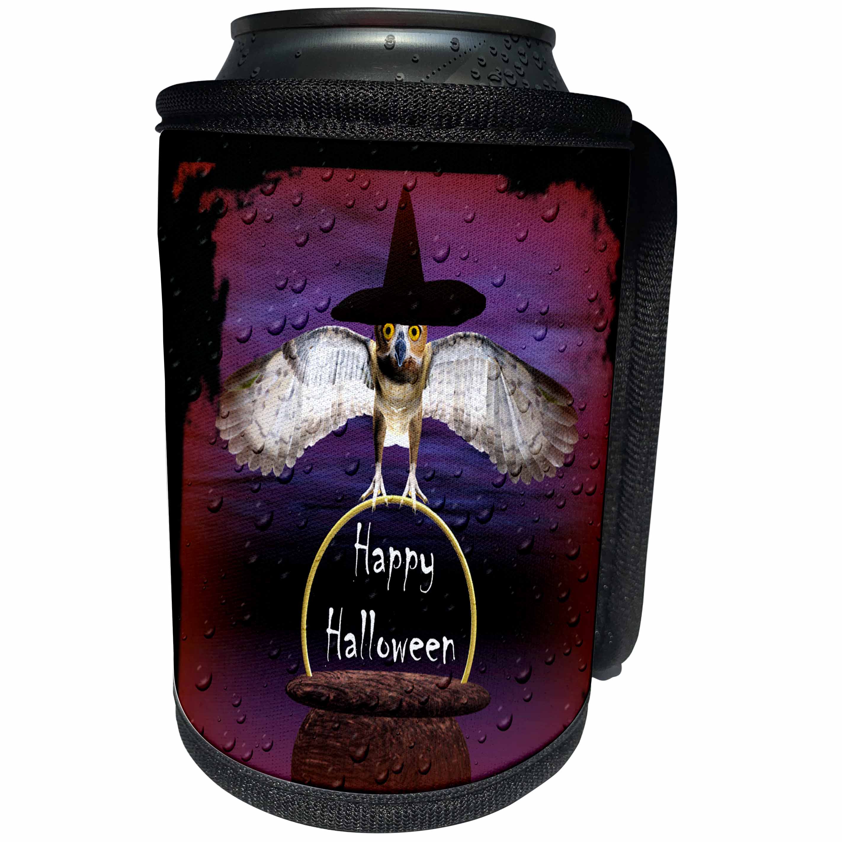 3dRose WhiteOak Art Designs Halloween - Halloween Owl Owl with Cauldron - Can Cooler Bottle Wrap (cc_28308)