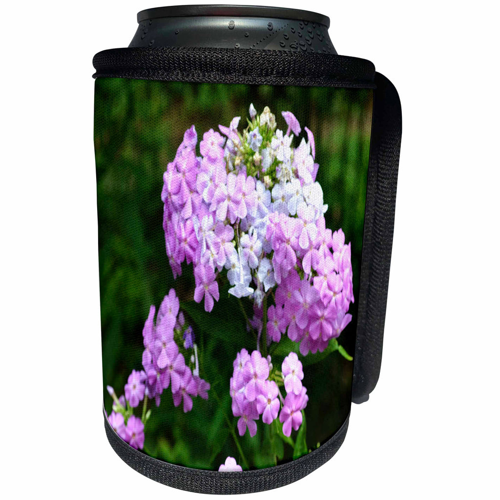 3dRose WhiteOak Photography Floral Prints - Pink and White Phlox Flowers Pink and White Flowers - Can Cooler Bottle Wrap (cc_28310)
