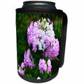 3dRose WhiteOak Photography Floral Prints - Pink and White Phlox Flowers Pink and White Flowers - Can Cooler Bottle Wrap (cc_28310)