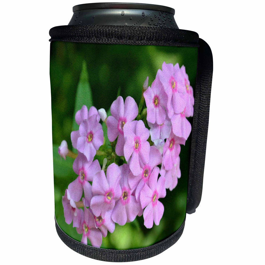 3dRose WhiteOak Photography Floral Prints - Phlox Flowers Pink Flowers - Can Cooler Bottle Wrap (cc_28312)