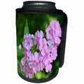 3dRose WhiteOak Photography Floral Prints - Phlox Flowers Pink Flowers - Can Cooler Bottle Wrap (cc_28312)