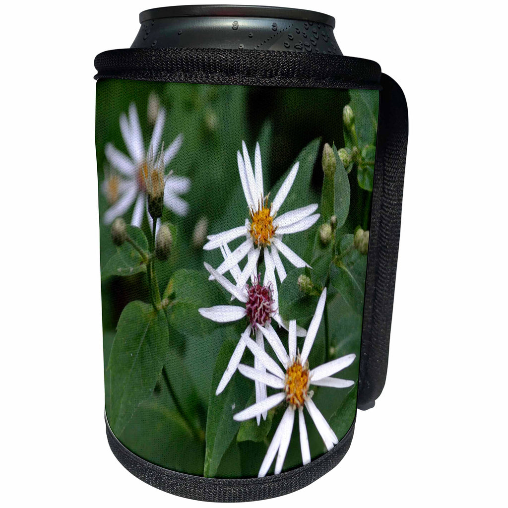 3dRose WhiteOak Photography Floral Prints - North Carolina Wild Flowers Small White Wildflowers - Can Cooler Bottle Wrap (cc_28317)