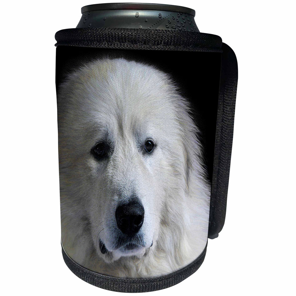 3dRose Doreen Erhardt Dogs - Great Pyrenees Dog Portrait on Black Painted - Can Cooler Bottle Wrap (cc_283505)