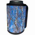 3dRose Alexis Photography - Seasons Spring - Birch trees on a sunny day in early spring. Blue sky - Can Cooler Bottle Wrap (cc_283844)