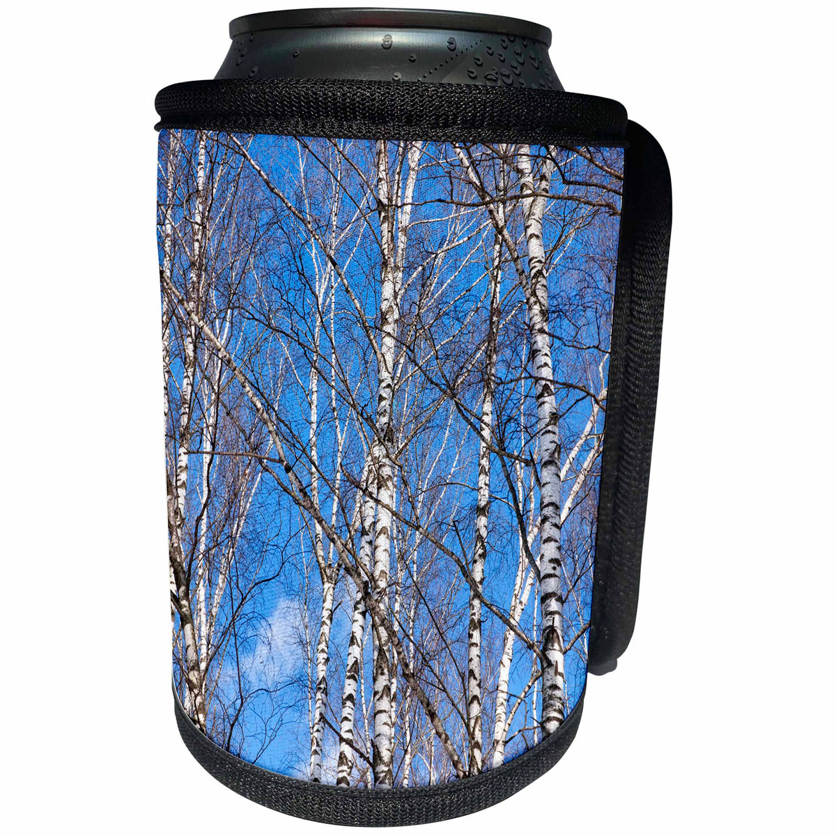 3dRose Alexis Photography - Seasons Spring - Birch trees on a sunny day in early spring. Blue sky - Can Cooler Bottle Wrap (cc_283844)