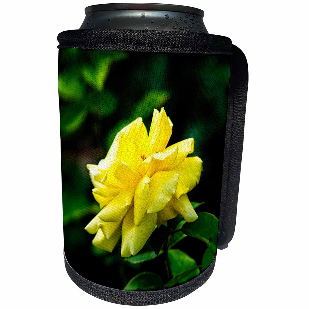 3dRose Alexis Photography - Flowers Rose - Side view of a yellow rose flower, bright green background - Can Cooler Bottle Wrap (cc_283953)