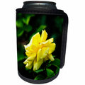 3dRose Alexis Photography - Flowers Rose - Side view of a yellow rose flower, bright green background - Can Cooler Bottle Wrap (cc_283953)