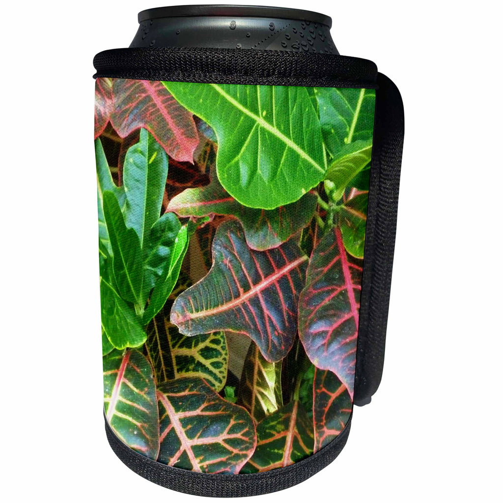3dRose Florene Macro Plants - Crotons Up Close - Can Cooler Bottle Wrap (cc_28396)