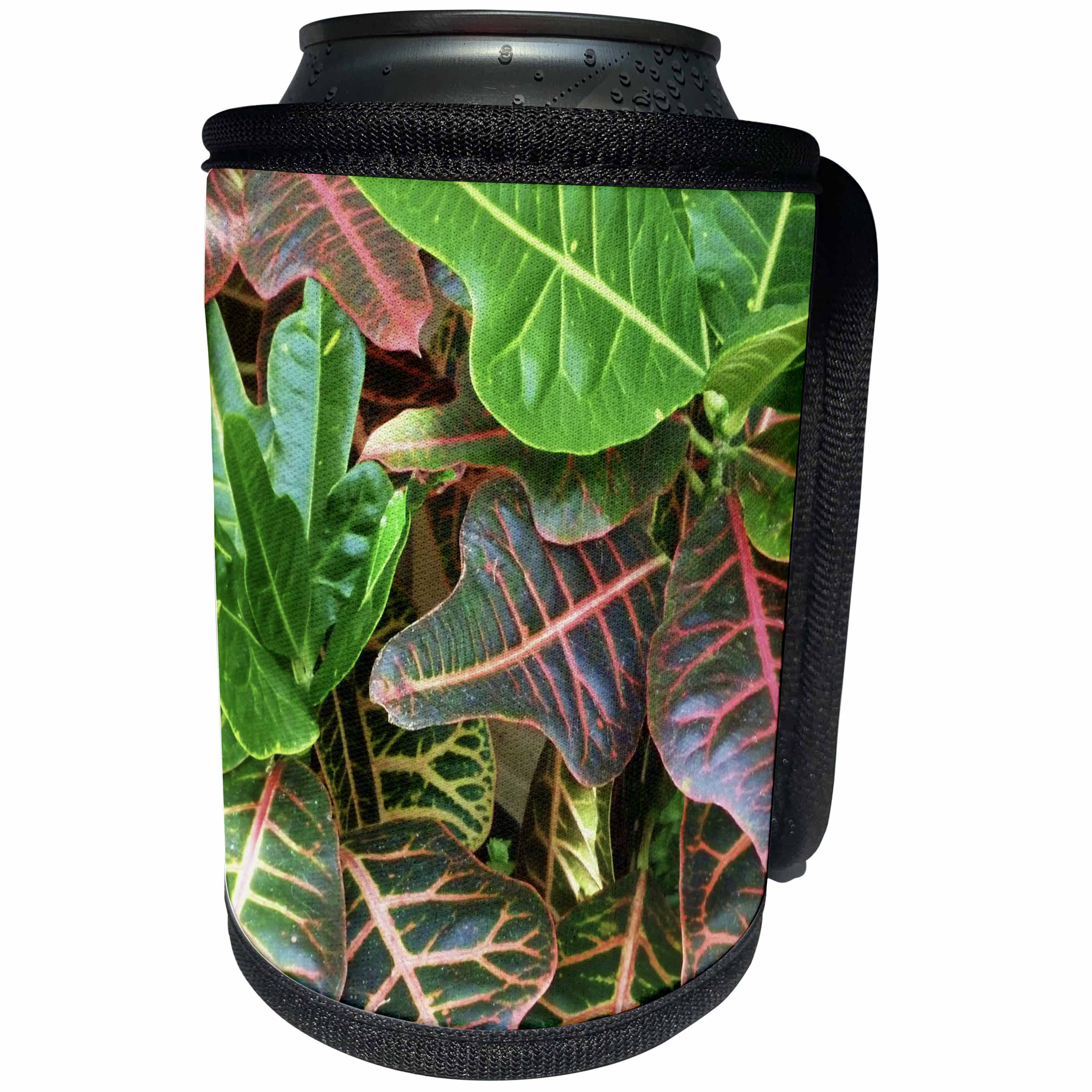 3dRose Florene Macro Plants - Crotons Up Close - Can Cooler Bottle Wrap (cc_28396)