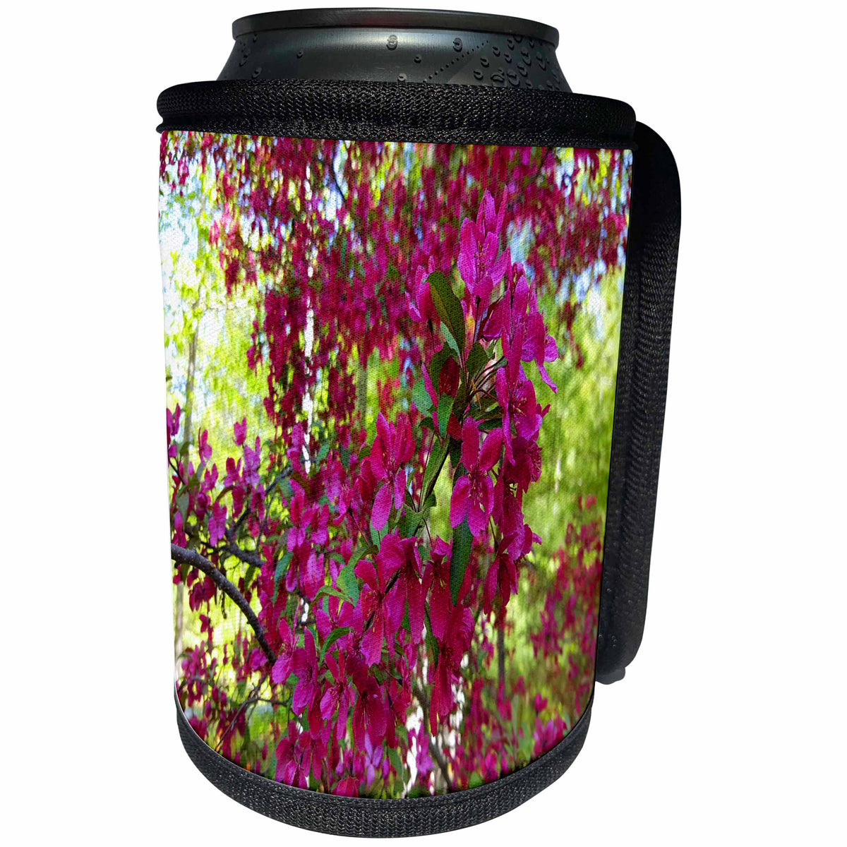 3dRose TDSwhite – Spring Seasonal Nature Photos - Beautiful Pretty Springtime - Can Cooler Bottle Wrap (cc_284248)
