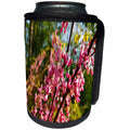 3dRose TDSwhite – Spring Seasonal Nature Photos - Beautiful Springtime - Can Cooler Bottle Wrap (cc_284249)