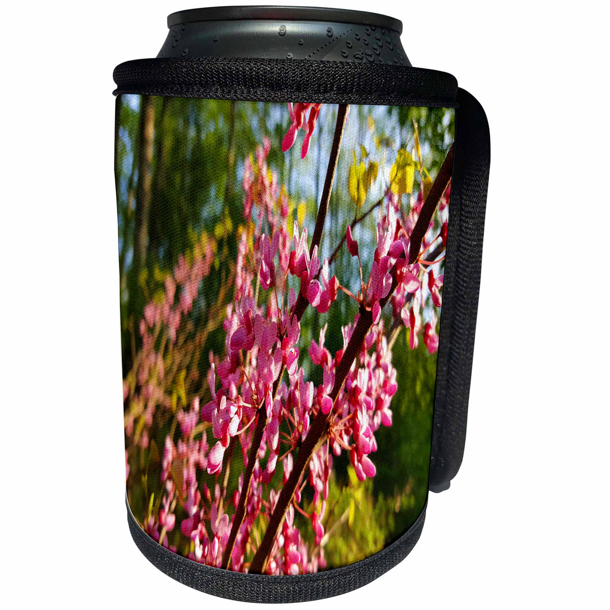 3dRose TDSwhite – Spring Seasonal Nature Photos - Beautiful Springtime - Can Cooler Bottle Wrap (cc_284249)