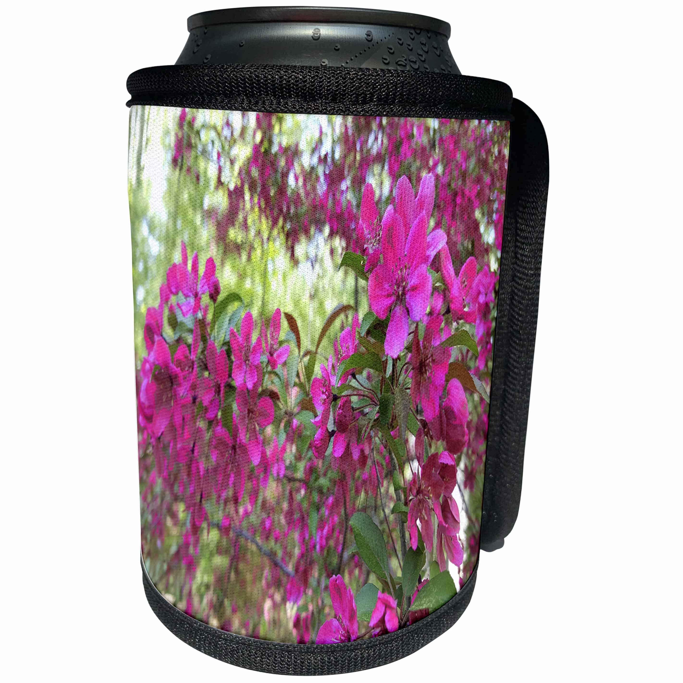 3dRose TDSwhite – Spring Seasonal Nature Photos - Beautiful Springtime Blossoms - Can Cooler Bottle Wrap (cc_284251)