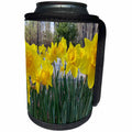 3dRose TDSwhite – Spring Seasonal Nature Photos - Daffodils Spring Flowers - Can Cooler Bottle Wrap (cc_284253)