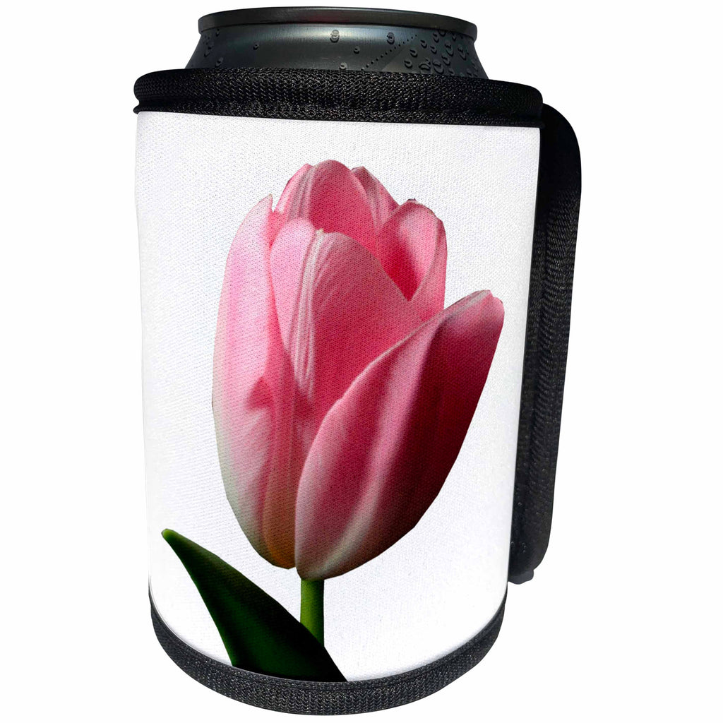 3dRose TDSwhite – Spring Seasonal Nature Photos - Floral Pink Tulip Spring - Can Cooler Bottle Wrap (cc_284260)