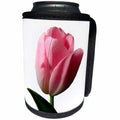 3dRose TDSwhite – Spring Seasonal Nature Photos - Floral Pink Tulip Spring - Can Cooler Bottle Wrap (cc_284260)
