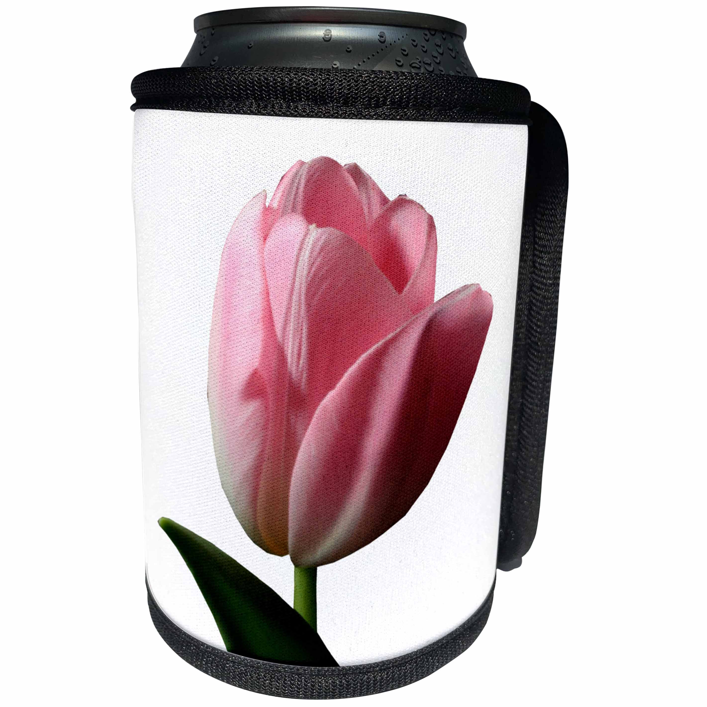 3dRose TDSwhite – Spring Seasonal Nature Photos - Floral Pink Tulip Spring - Can Cooler Bottle Wrap (cc_284260)