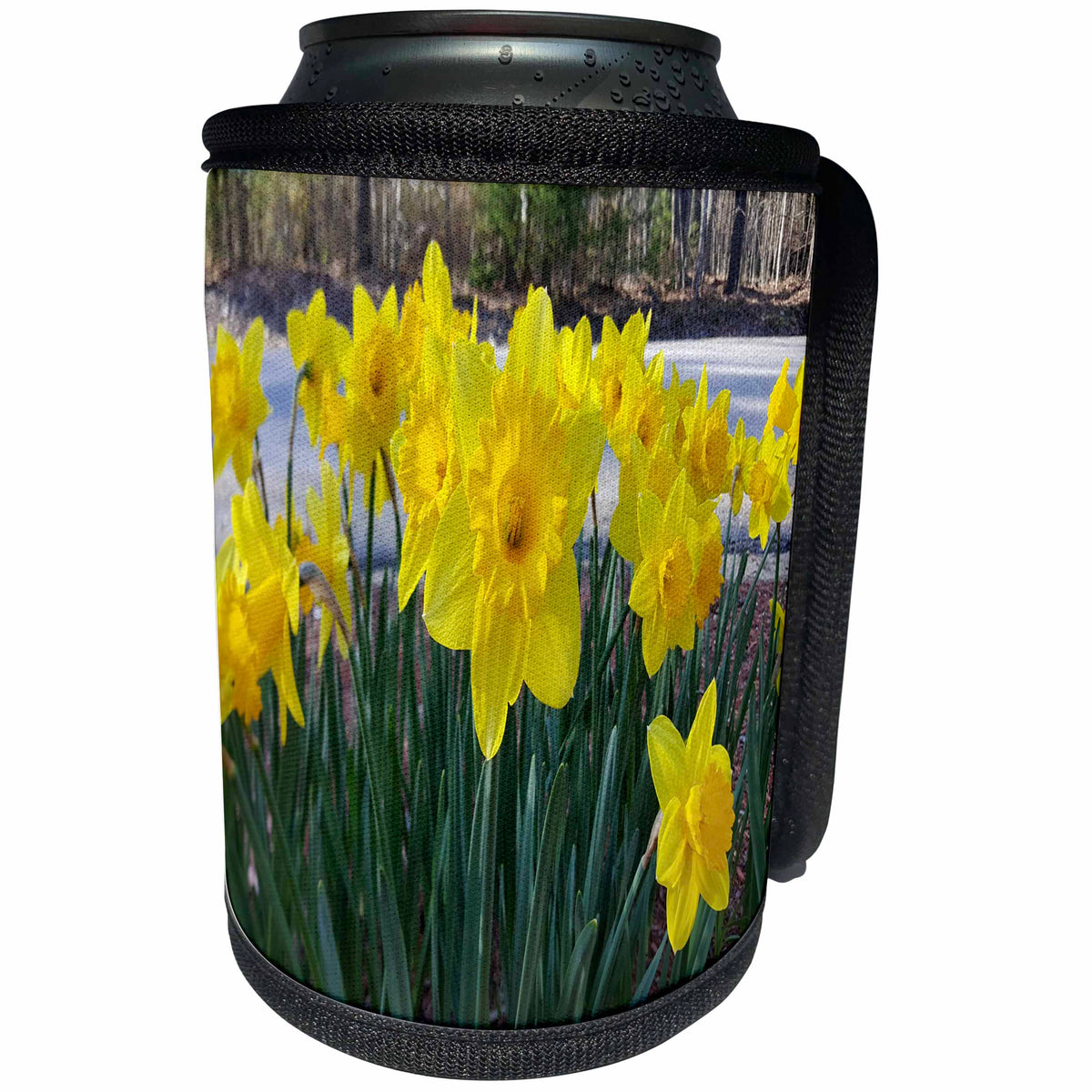 3dRose TDSwhite – Spring Seasonal Nature Photos - Floral Spring Summer Flowers Daffodils - Can Cooler Bottle Wrap (cc_284262)