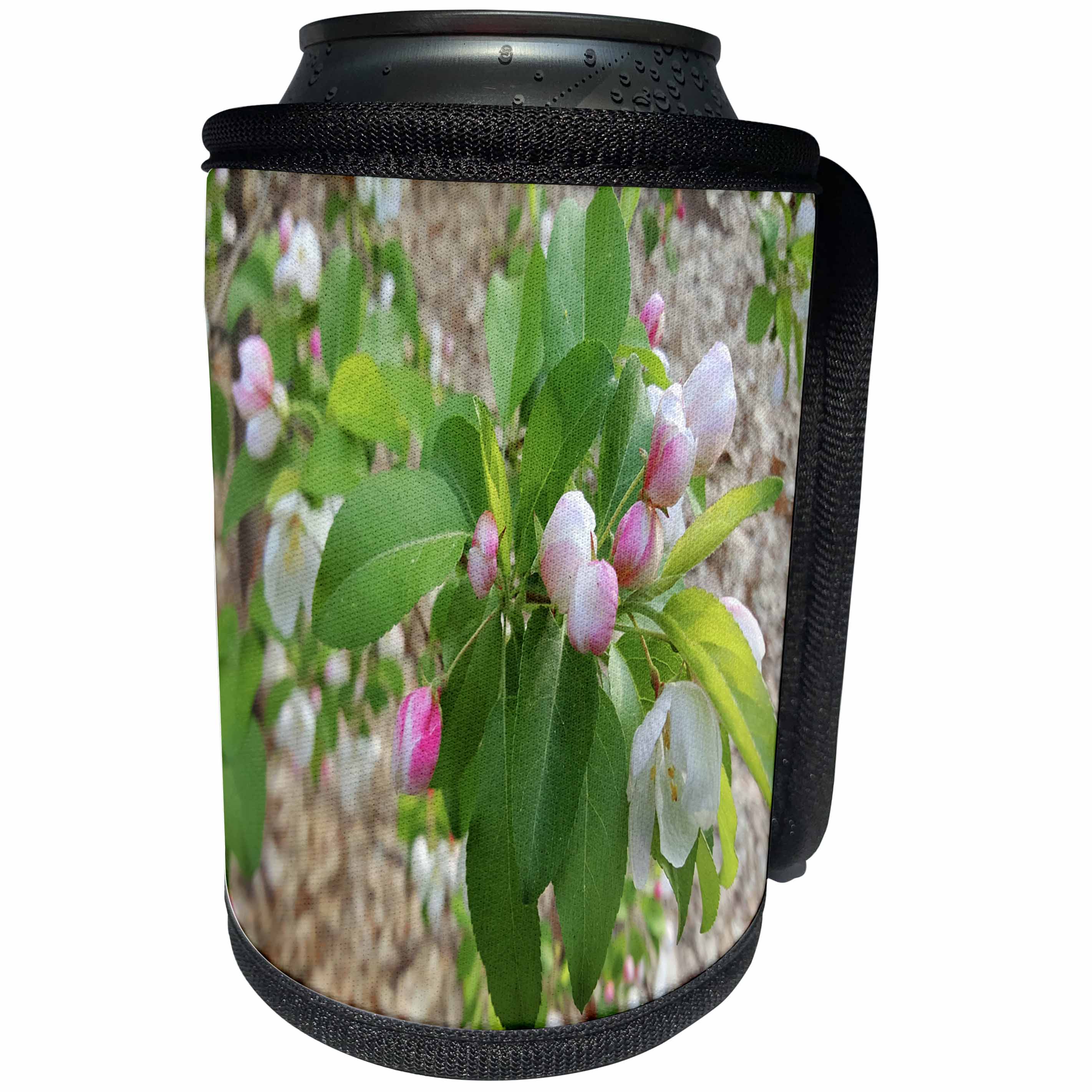 3dRose TDSwhite – Spring Seasonal Nature Photos - Spring Flower Buds Ready To Open - Can Cooler Bottle Wrap (cc_284287)