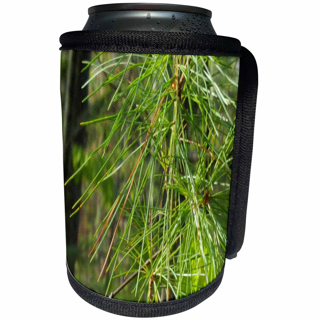 3dRose TDSwhite – Spring Seasonal Nature Photos - Spring Evergreen Pine Needles - Can Cooler Bottle Wrap (cc_284309)