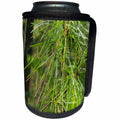3dRose TDSwhite – Spring Seasonal Nature Photos - Spring Evergreen Pine Needles - Can Cooler Bottle Wrap (cc_284309)