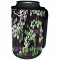 3dRose TDSwhite – Spring Seasonal Nature Photos - Spring Moss Leaves Vine - Can Cooler Bottle Wrap (cc_284321)