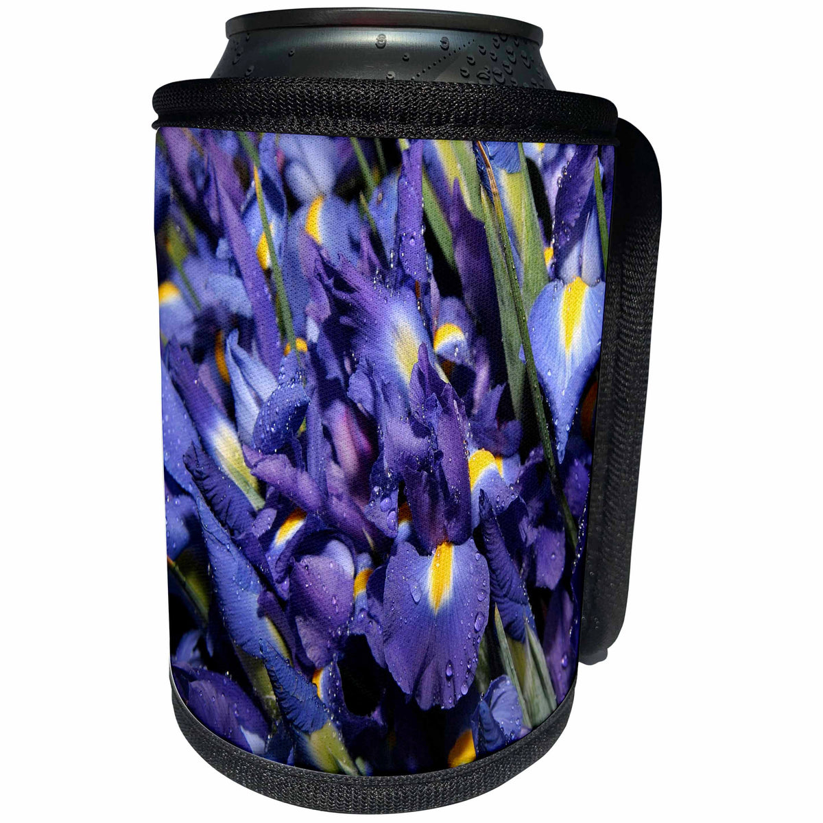 3dRose TDSwhite – Summer Seasonal Nature Photos - Flowers Beautiful Blue Iris - Can Cooler Bottle Wrap (cc_284522)