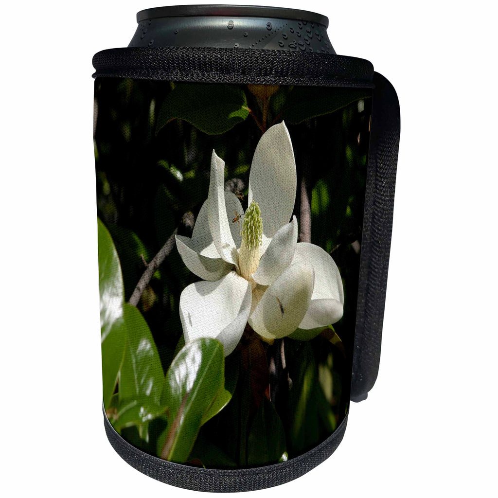 3dRose TDSwhite – Summer Seasonal Nature Photos - Flowers Pretty Magnolia Bloom - Can Cooler Bottle Wrap (cc_284529)