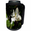 3dRose TDSwhite – Summer Seasonal Nature Photos - Flowers Pretty Magnolia Bloom - Can Cooler Bottle Wrap (cc_284529)