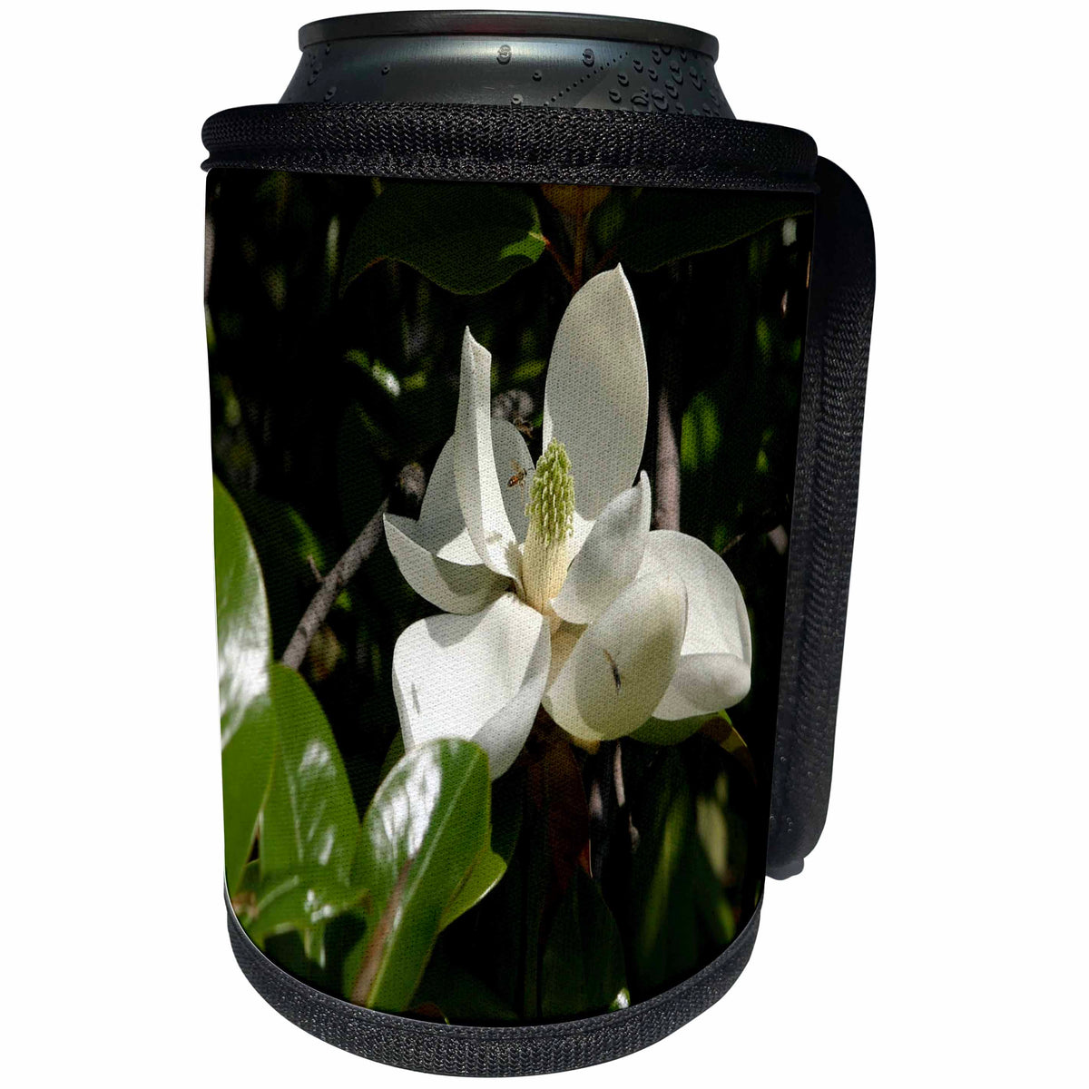 3dRose TDSwhite – Summer Seasonal Nature Photos - Flowers Pretty Magnolia Bloom - Can Cooler Bottle Wrap (cc_284529)