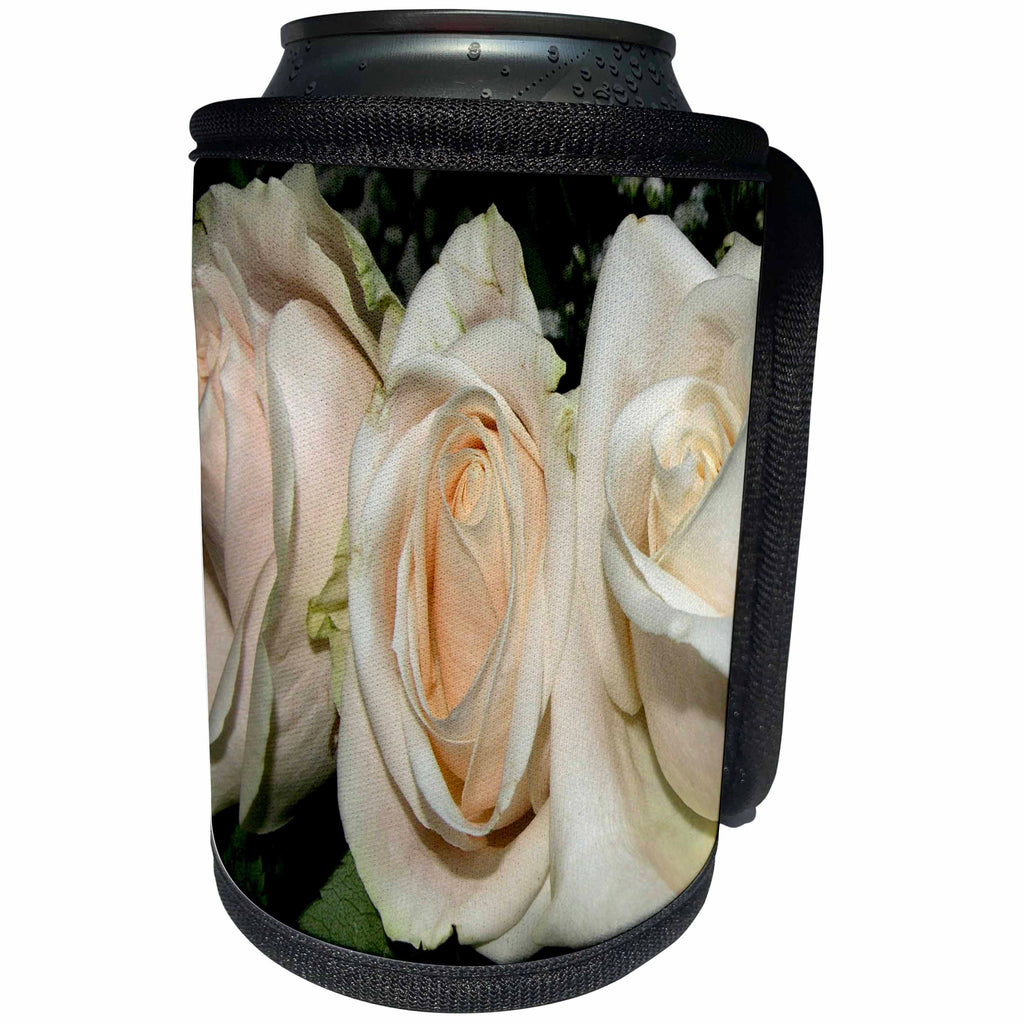 3dRose TDSwhite – Summer Seasonal Nature Photos - Flowers Pretty White Roses - Can Cooler Bottle Wrap (cc_284540)