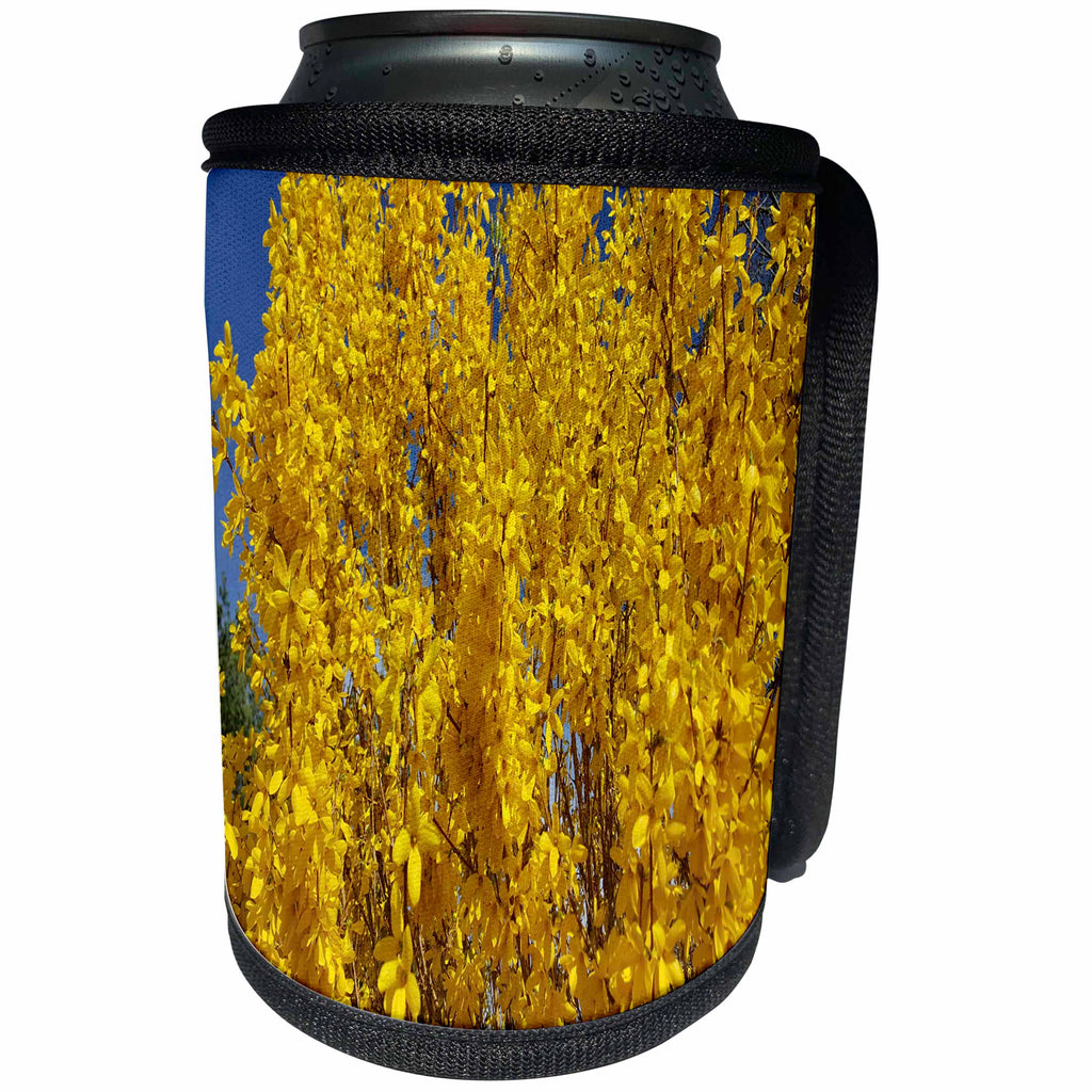 3dRose TDSwhite – Summer Seasonal Nature Photos - Forsythia Bush Up Close - Can Cooler Bottle Wrap (cc_284546)