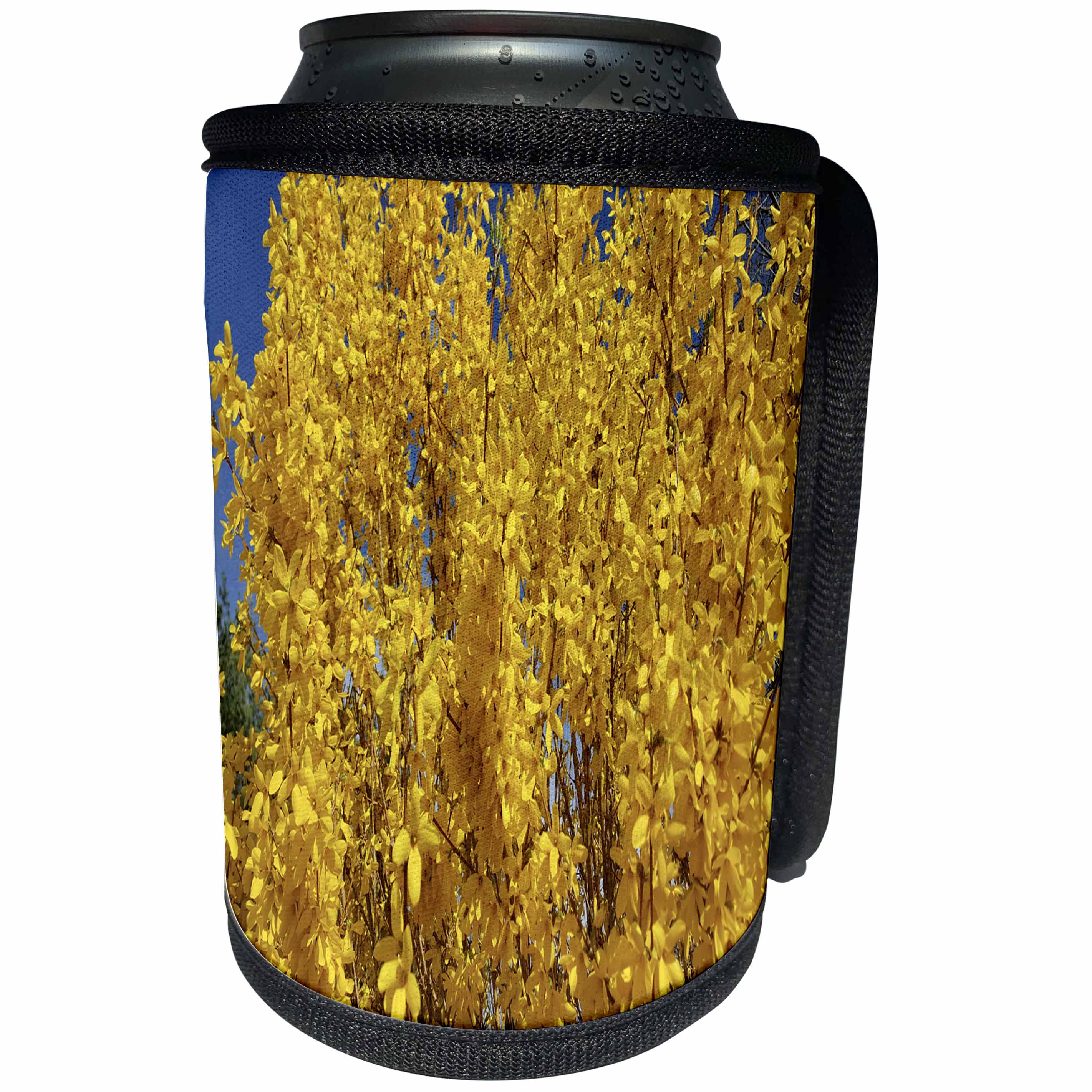 3dRose TDSwhite – Summer Seasonal Nature Photos - Forsythia Bush Up Close - Can Cooler Bottle Wrap (cc_284546)
