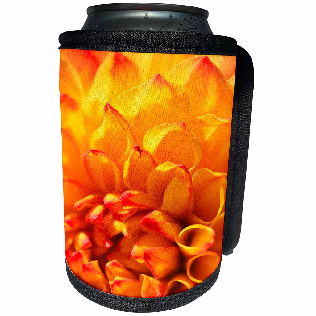 3dRose TDSwhite – Summer Seasonal Nature Photos - Orange Dahlia Flower - Can Cooler Bottle Wrap (cc_284553)