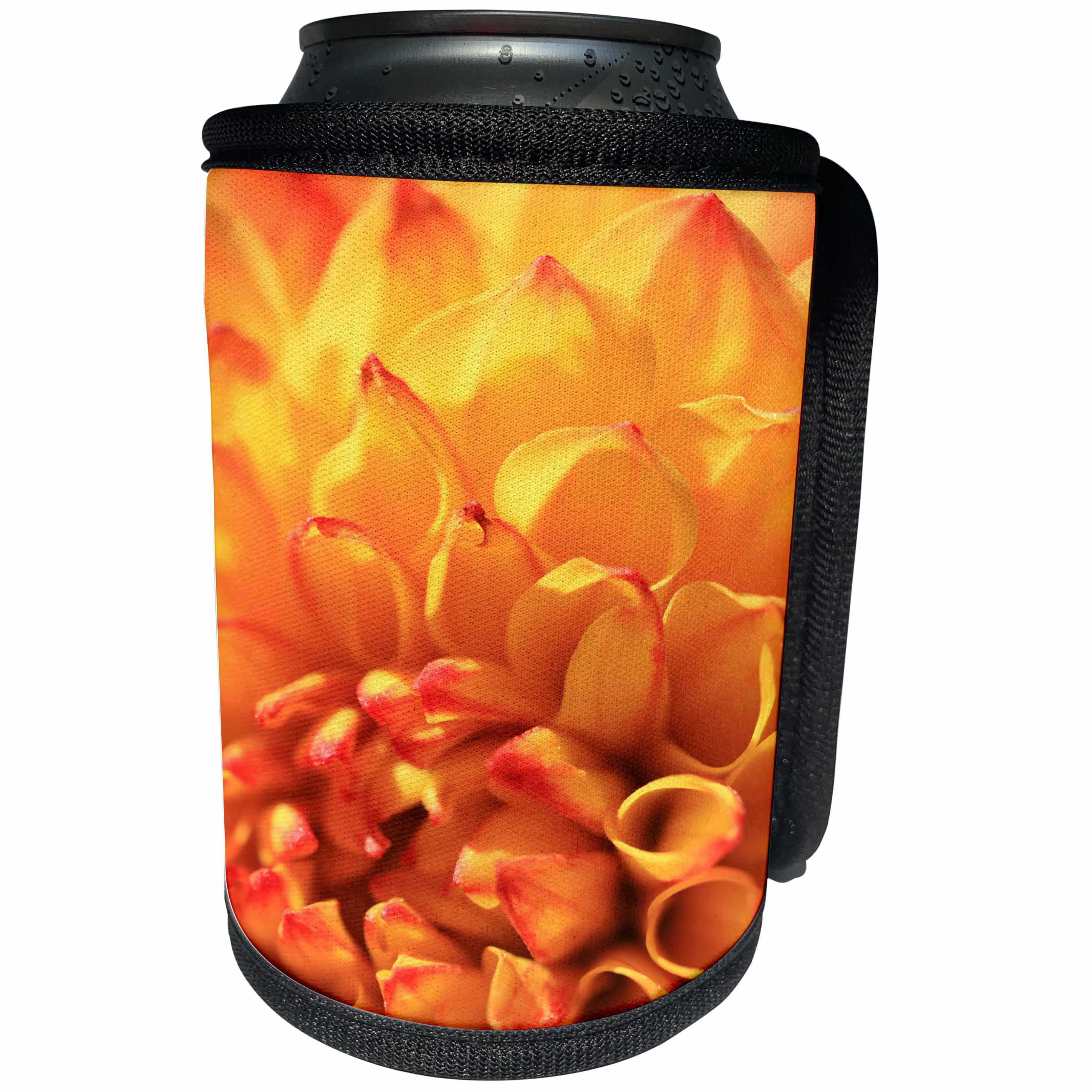 3dRose TDSwhite – Summer Seasonal Nature Photos - Orange Dahlia Flower - Can Cooler Bottle Wrap (cc_284553)