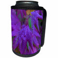 3dRose TDSwhite – Summer Seasonal Nature Photos - Pretty Purple Leaves - Can Cooler Bottle Wrap (cc_284565)
