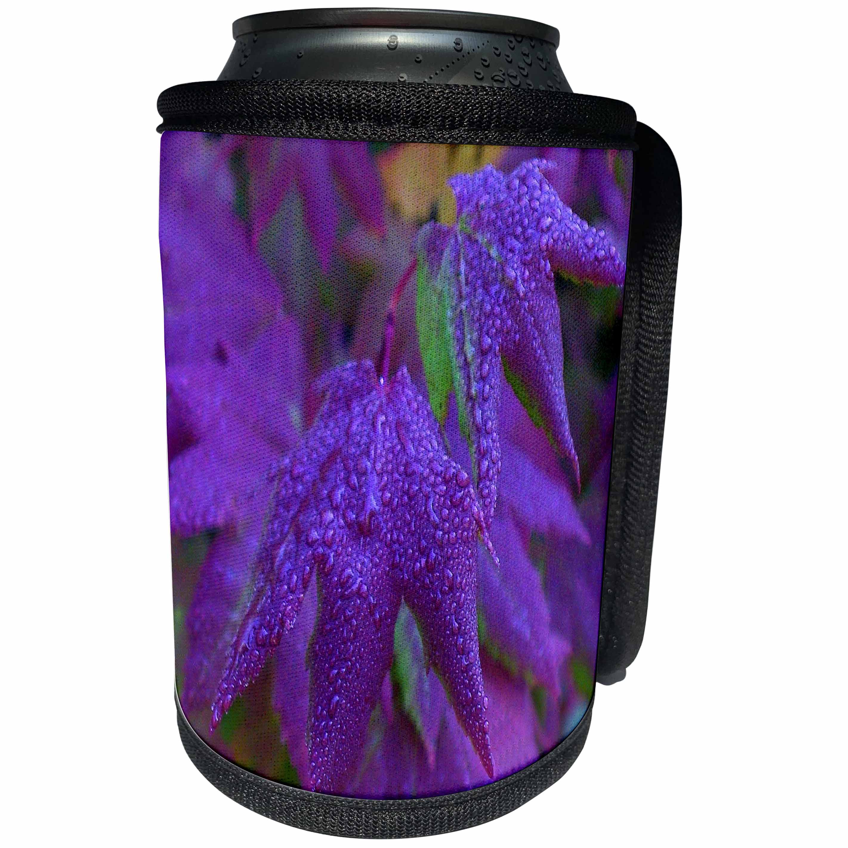 3dRose TDSwhite – Summer Seasonal Nature Photos - Pretty Purple Leaves - Can Cooler Bottle Wrap (cc_284565)