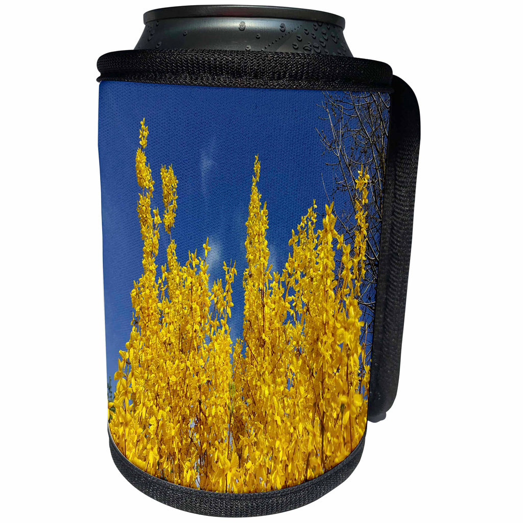 3dRose TDSwhite – Summer Seasonal Nature Photos - Yellow Forsythia Bush Flowers - Can Cooler Bottle Wrap (cc_284576)