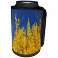 3dRose TDSwhite – Summer Seasonal Nature Photos - Yellow Forsythia Bush Flowers - Can Cooler Bottle Wrap (cc_284576)