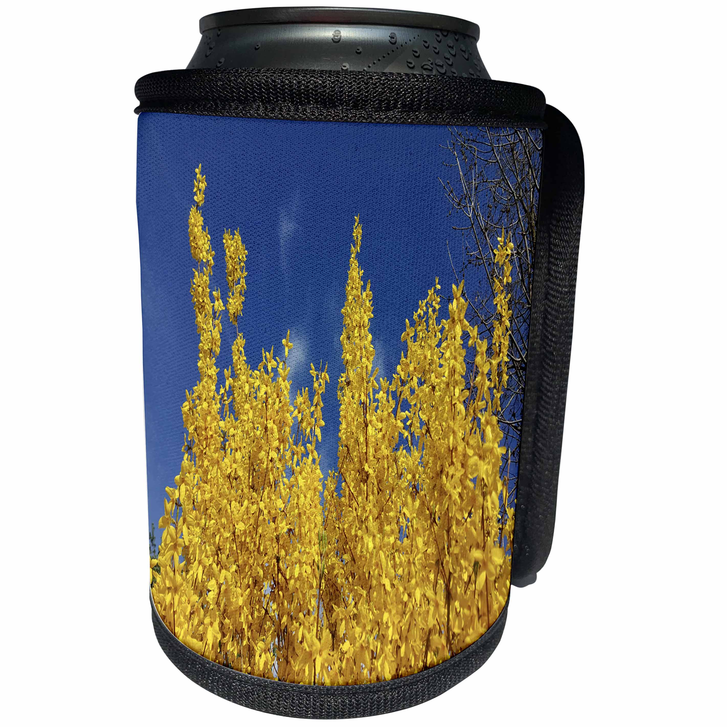 3dRose TDSwhite – Summer Seasonal Nature Photos - Yellow Forsythia Bush Flowers - Can Cooler Bottle Wrap (cc_284576)