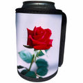 3dRose TDSwhite – Summer Seasonal Nature Photos - Floral Single Red Rose Natural Beauty - Can Cooler Bottle Wrap (cc_284581)