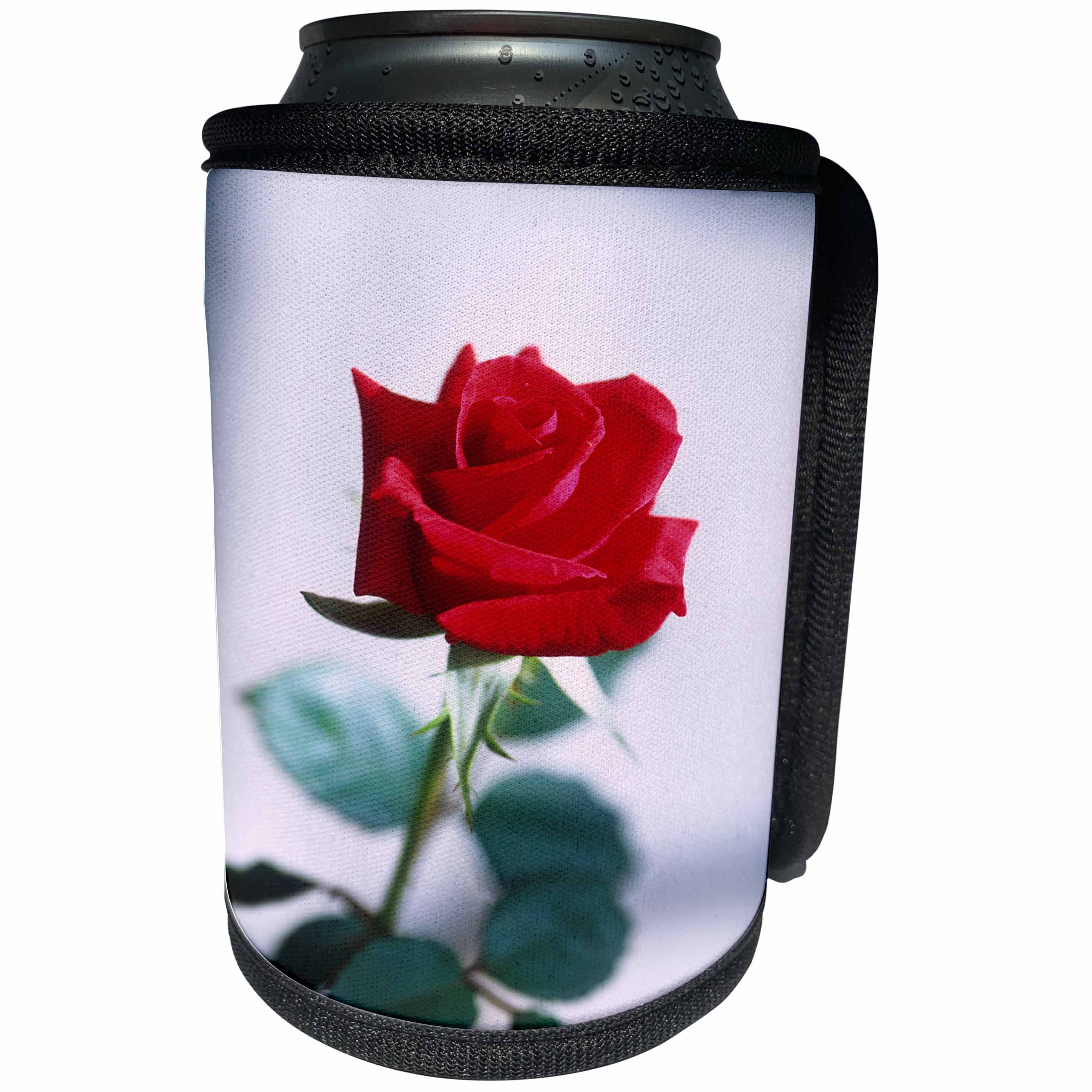 3dRose TDSwhite – Summer Seasonal Nature Photos - Floral Single Red Rose Natural Beauty - Can Cooler Bottle Wrap (cc_284581)