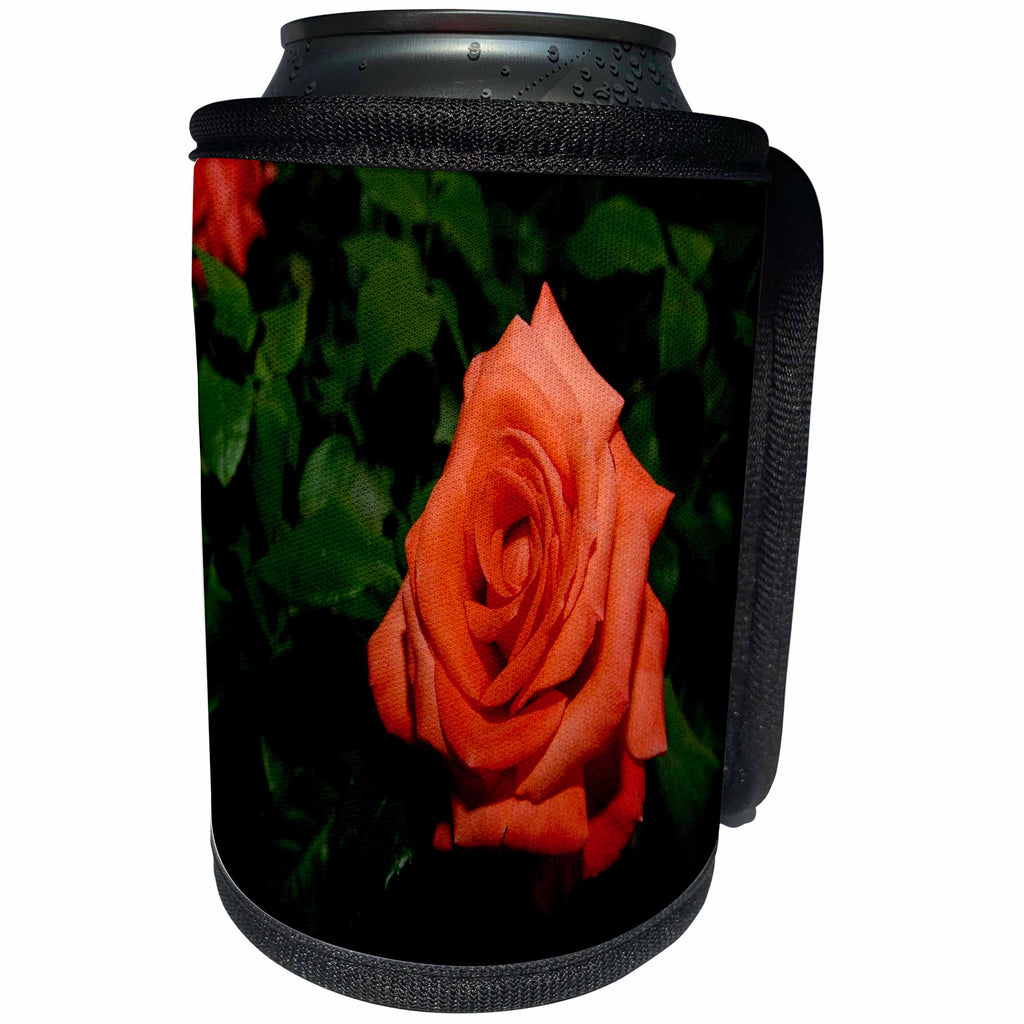 3dRose TDSwhite – Summer Seasonal Nature Photos - Floral Single Orange Rose - Can Cooler Bottle Wrap (cc_284582)
