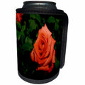3dRose TDSwhite – Summer Seasonal Nature Photos - Floral Single Orange Rose - Can Cooler Bottle Wrap (cc_284582)