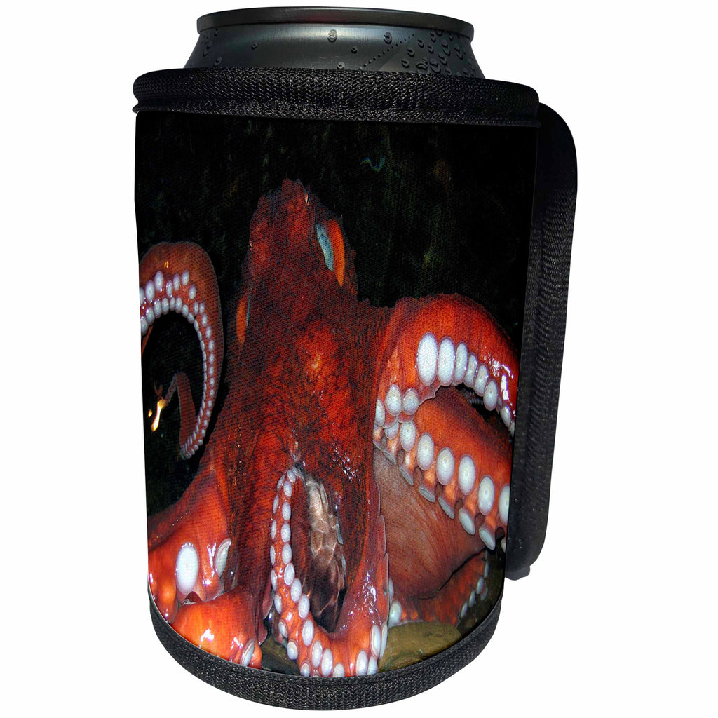 3dRose Fishing - Octopus - Can Cooler Bottle Wrap (cc_2846)