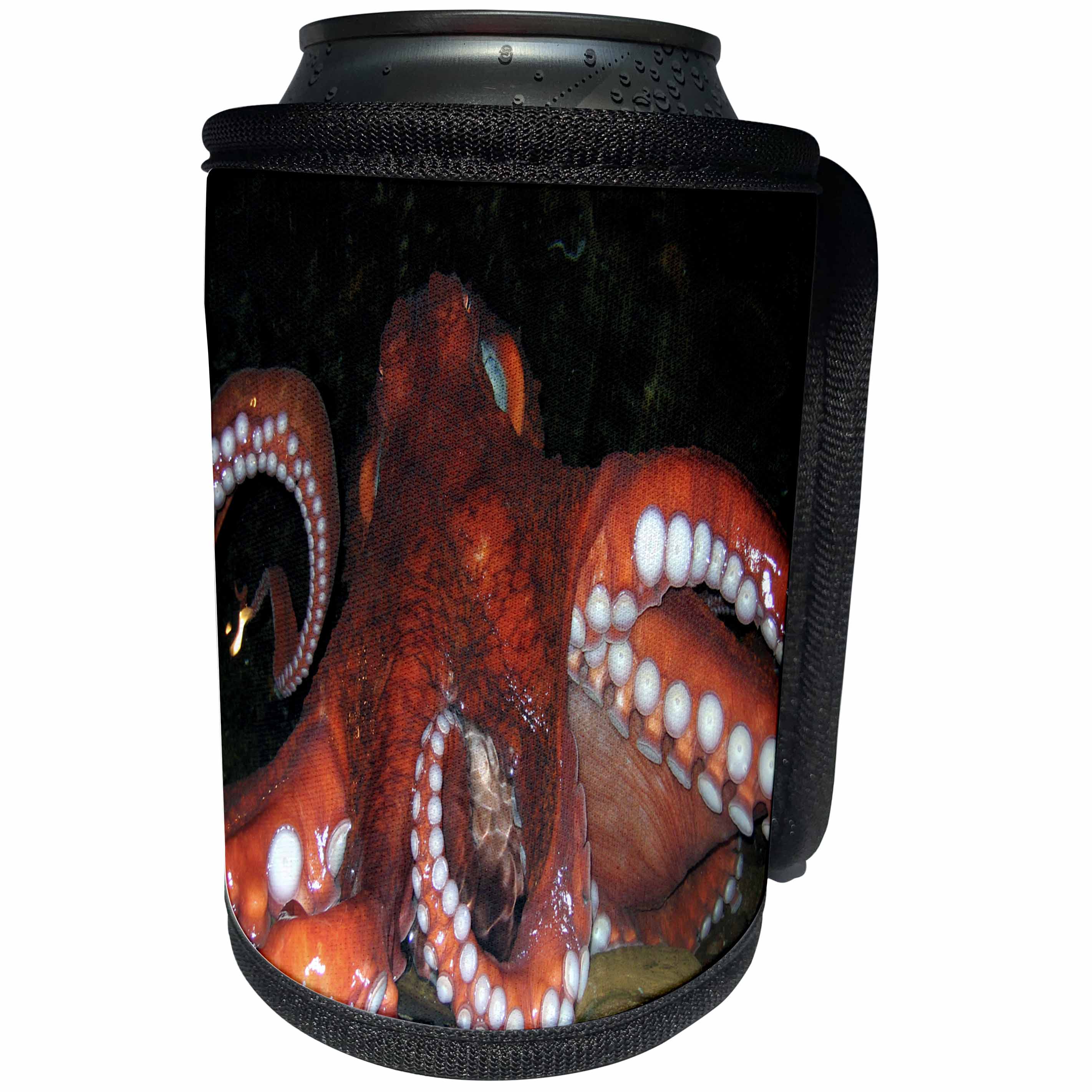 3dRose Fishing - Octopus - Can Cooler Bottle Wrap (cc_2846)