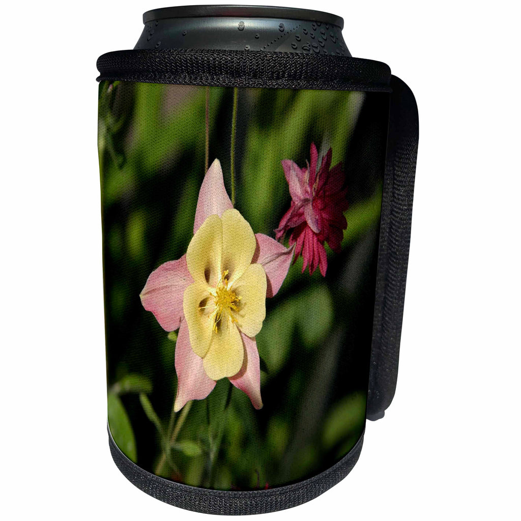 3dRose TDSwhite – Summer Seasonal Nature Photos - Floral Columbine Star Shaped Leaves - Can Cooler Bottle Wrap (cc_284603)